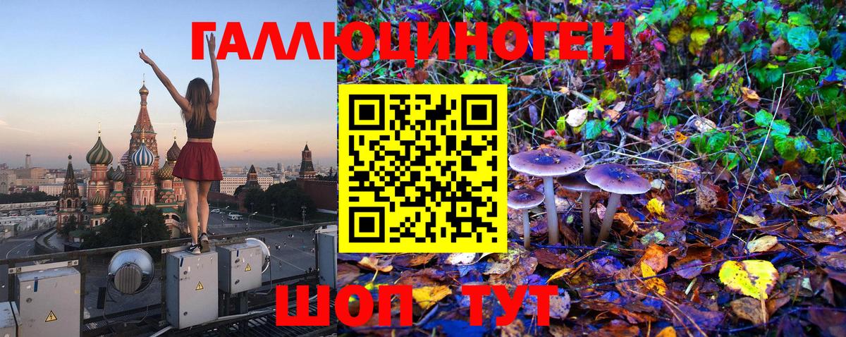 Псилоцибиновые грибы MAGIC MUSHROOMS Дубна