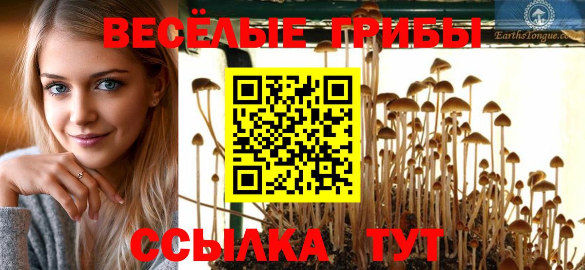 Псилоцибиновые грибы GOLDEN TEACHER  Вход с VPN  Дубна 